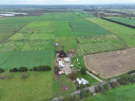 NSW Dairy farm and calf crates - 2025 - A drone investigation of dairy farms and calf crates on NSW's South Coast. - Captured at Unknown Dairy Crates, Terara NSW Australia.