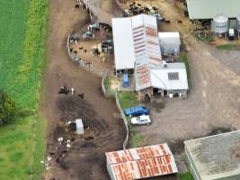 NSW Dairy farm and calf crates - 2025 - A drone investigation of dairy farms and calf crates on NSW's South Coast. - Captured at Unknown Dairy Crates, Terara NSW Australia.