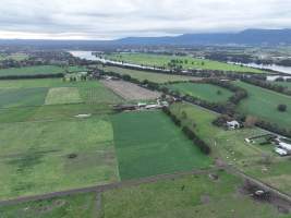 NSW Dairy farm and calf crates - 2025 - A drone investigation of dairy farms and calf crates on NSW's South Coast. - Captured at Unknown Dairy Crates, Terara NSW Australia.