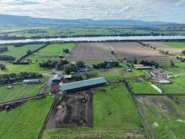 NSW Dairy Farms - 2025 - A drone investigation into dairy farms and calf crates on NSW's South Coast. - Captured at Eagle Park, Numbaa NSW Australia.