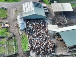 NSW Dairy Farms - 2025 - A drone investigation into dairy farms and calf crates on NSW's South Coast. - Captured at Eagle Park, Numbaa NSW Australia.