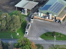 NSW Dairy Farms - 2025 - A drone investigation into dairy farms and calf crates on NSW's South Coast. - Captured at Eagle Park, Numbaa NSW Australia.