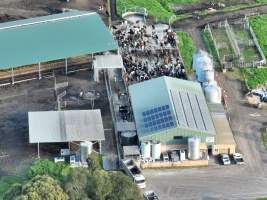 NSW Dairy Farms - 2025 - A drone investigation into dairy farms and calf crates on NSW's South Coast. - Captured at Eagle Park, Numbaa NSW Australia.
