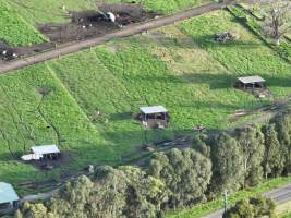 NSW Dairy Farms - 2025 - A drone investigation into dairy farms and calf crates on NSW's South Coast. - Captured at Eagle Park, Numbaa NSW Australia.