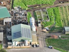 NSW Dairy Farms - 2025 - A drone investigation into dairy farms and calf crates on NSW's South Coast. - Captured at Eagle Park, Numbaa NSW Australia.