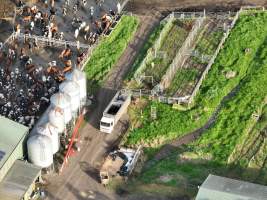 NSW Dairy Farms - 2025 - A drone investigation into dairy farms and calf crates on NSW's South Coast. - Captured at Eagle Park, Numbaa NSW Australia.