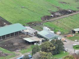 NSW Dairy Farms - 2025 - A drone investigation into dairy farms and calf crates on NSW's South Coast. - Captured at Eagle Park, Numbaa NSW Australia.