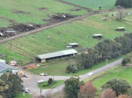 NSW Dairy Farms - 2025 - A drone investigation into dairy farms and calf crates on NSW's South Coast. - Captured at Eagle Park, Numbaa NSW Australia.