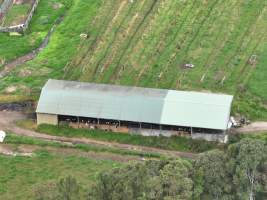 NSW Dairy Farms - 2025 - A drone investigation into dairy farms and calf crates on NSW's South Coast. - Captured at Eagle Park, Numbaa NSW Australia.