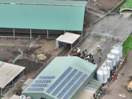 NSW Dairy Farms - 2025 - A drone investigation into dairy farms and calf crates on NSW's South Coast. - Captured at Eagle Park, Numbaa NSW Australia.
