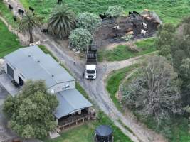 NSW Dairy Farms - 2025 - A drone investigation into dairy farms and calf crates on NSW's South Coast. - Captured at Eagle Park, Numbaa NSW Australia.