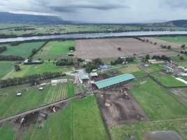 NSW Dairy Farms - 2025 - A drone investigation into dairy farms and calf crates on NSW's South Coast. - Captured at Eagle Park, Numbaa NSW Australia.