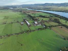 NSW Dairy farms - 2025 - A 2025 drone investigation into dairy farms and calf crates on NSW's South Coast. - Captured at Numbaa Leigh Holsteins, Numbaa NSW Australia.