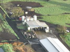 NSW Dairy farms - 2025 - A 2025 drone investigation into dairy farms and calf crates on NSW's South Coast. - Captured at Numbaa Leigh Holsteins, Numbaa NSW Australia.