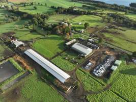 NSW Dairy farms - 2025 - A 2025 drone investigation into dairy farms and calf crates on NSW's South Coast. - Captured at Numbaa Leigh Holsteins, Numbaa NSW Australia.