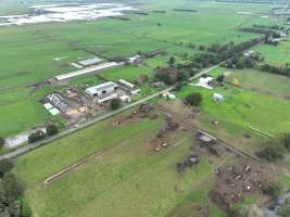 NSW Dairy farms - 2025 - A 2025 drone investigation into dairy farms and calf crates on NSW's South Coast. - Captured at Numbaa Leigh Holsteins, Numbaa NSW Australia.