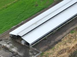 NSW Dairy farms - 2025 - A 2025 drone investigation into dairy farms and calf crates on NSW's South Coast. - Captured at Numbaa Leigh Holsteins, Numbaa NSW Australia.