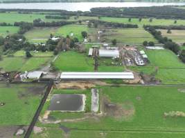 NSW Dairy farms - 2025 - A 2025 drone investigation into dairy farms and calf crates on NSW's South Coast. - Captured at Numbaa Leigh Holsteins, Numbaa NSW Australia.