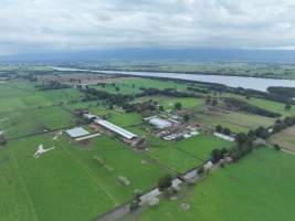 NSW Dairy farms - 2025 - A 2025 drone investigation into dairy farms and calf crates on NSW's South Coast. - Captured at Numbaa Leigh Holsteins, Numbaa NSW Australia.