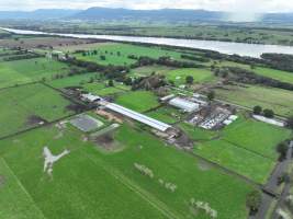NSW Dairy farms - 2025 - A 2025 drone investigation into dairy farms and calf crates on NSW's South Coast. - Captured at Numbaa Leigh Holsteins, Numbaa NSW Australia.