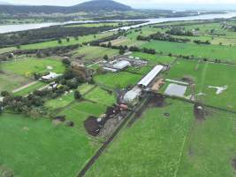 NSW Dairy farms - 2025 - A 2025 drone investigation into dairy farms and calf crates on NSW's South Coast. - Captured at Numbaa Leigh Holsteins, Numbaa NSW Australia.