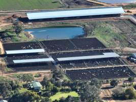 Drone - Dairy factory farm - Drone photos of Kenara Dairy, a dairy factory farm in Blighty, NSW. - Captured at Kenara Dairy - Riverina Fresh, Blighty NSW Australia.