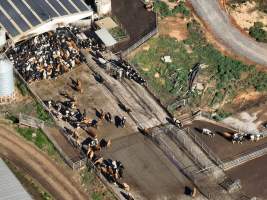 Drone - Dairy factory farm - Drone photos of Kenara Dairy, a dairy factory farm in Blighty, NSW. - Captured at Kenara Dairy - Riverina Fresh, Blighty NSW Australia.