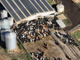 Drone - Dairy factory farm - Drone photos of Kenara Dairy, a dairy factory farm in Blighty, NSW. - Captured at Kenara Dairy - Riverina Fresh, Blighty NSW Australia.