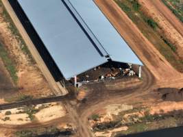 Drone - Dairy factory farm - Drone photos of Kenara Dairy, a dairy factory farm in Blighty, NSW. - Captured at Kenara Dairy - Riverina Fresh, Blighty NSW Australia.