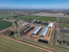 Drone - Dairy factory farm - Drone photos of Kenara Dairy, a dairy factory farm in Blighty, NSW. - Captured at Kenara Dairy - Riverina Fresh, Blighty NSW Australia.