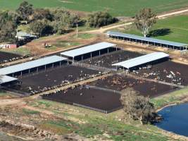 Drone - Dairy factory farm - Drone photos of Kenara Dairy, a dairy factory farm in Blighty, NSW. - Captured at Kenara Dairy - Riverina Fresh, Blighty NSW Australia.