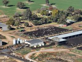 Drone - Dairy factory farm - Drone photos of Kenara Dairy, a dairy factory farm in Blighty, NSW. - Captured at Kenara Dairy - Riverina Fresh, Blighty NSW Australia.