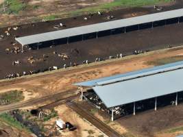Drone - Dairy factory farm - Drone photos of Kenara Dairy, a dairy factory farm in Blighty, NSW. - Captured at Kenara Dairy - Riverina Fresh, Blighty NSW Australia.
