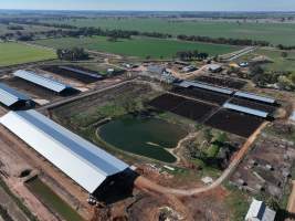 Drone - Dairy factory farm - Drone photos of Kenara Dairy, a dairy factory farm in Blighty, NSW. - Captured at Kenara Dairy - Riverina Fresh, Blighty NSW Australia.
