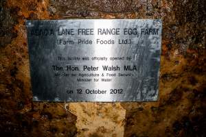 Sign at entrance of sheds - Farm Pride supplies free range and cage free eggs to major supermarkets under their own brand and is also a supplier for Coles brand free range eggs. Their Bears Lagoon farm supplies free range eggs from a system described by The Age as 'intensive free-range farming.'
In these sheds tens of thousands of birds struggle for space in filthy sheds. Hens showed evidence of reproductive illnesses and feather pecking, including missing feathers from their wings and necks. One chicken was filmed with a twisted, deformed leg, while others showed clear signs of being bullied by being pecked by other chickens.
On this farm investigators entered an empty shed where hens had been 'depopulated,' to be taken to slaughter. Two chickens had been left behind and were found huddled in the empty stacks, missing almost all of the feathers from their backs and necks. In another shed hens were found to be laying jelly-like, soft shelled eggs, an indication of nutrition deficiencies and stress. Hens would fight to eat these eggs, a valuable source of calcium in their otherwise deprived diets.
- Captured at Farm Pride Bears Lagoon - Site 2, Bears Lagoon VIC Australia.