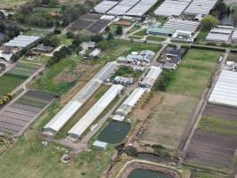Drone flyover - Drone flyover of South Gippsland Eggs - Captured at South Gippsland Eggs, Devon Meadows VIC Australia.