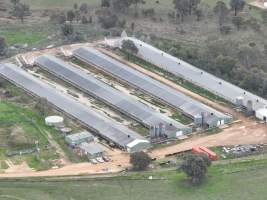 Drone flyover - Drone flyover of Valley Park's free-range egg farms in Seymour, Victoria. - Captured at Valley Park Seymour Farm 3 (Fyfe Family Eggs), Seymour VIC Australia.