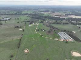 Drone flyover - Drone flyover of Valley Park's free-range egg farms in Seymour, Victoria. - Captured at Valley Park Seymour Farm 3 (Fyfe Family Eggs), Seymour VIC Australia.