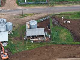 Drone flyover - Golderama Holsteins - Drone photos taken of Golderama Hosteins, which supplies milk to Bega. - Captured at L.B. & M.A. Golder - 'Golderama Holsteins', Jervois SA Australia.