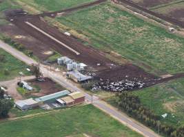 Drone flyover - Golderama Holsteins - Drone photos taken of Golderama Hosteins, which supplies milk to Bega. - Captured at L.B. & M.A. Golder - 'Golderama Holsteins', Jervois SA Australia.