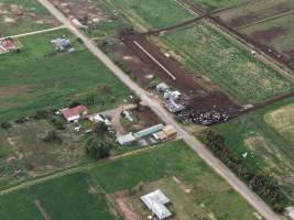 Drone flyover - Golderama Holsteins - Drone photos taken of Golderama Hosteins, which supplies milk to Bega. - Captured at L.B. & M.A. Golder - 'Golderama Holsteins', Jervois SA Australia.