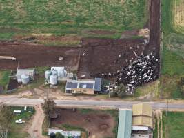 Drone flyover - Golderama Holsteins - Drone photos taken of Golderama Hosteins, which supplies milk to Bega. - Captured at L.B. & M.A. Golder - 'Golderama Holsteins', Jervois SA Australia.