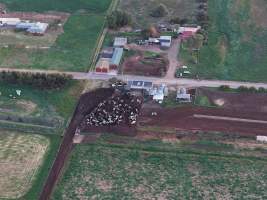 Drone flyover - Golderama Holsteins - Drone photos taken of Golderama Hosteins, which supplies milk to Bega. - Captured at L.B. & M.A. Golder - 'Golderama Holsteins', Jervois SA Australia.