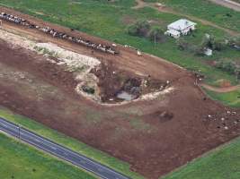 Tripe T Farms Drone flyover - Drone flyover of Triple T Farms dairy, supplier to La Casa Del Formaggio - Captured at Triple T Farms - La Casa Del Formaggio, Jervois SA Australia.