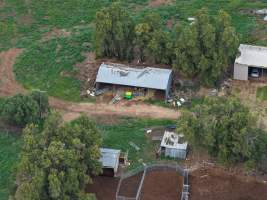 Tripe T Farms Drone flyover - Drone flyover of Triple T Farms dairy, supplier to La Casa Del Formaggio - Captured at Triple T Farms - La Casa Del Formaggio, Jervois SA Australia.