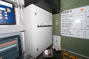 Captured at Josh's Rainbow Eggs, Monegeetta VIC Australia.