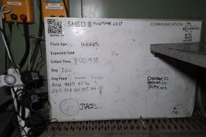 Captured at Josh's Rainbow Eggs, Monegeetta VIC Australia.