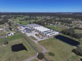 Captured at Pirovic Family Farms, Llandilo NSW Australia.