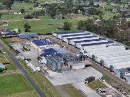 Captured at Pirovic Family Farms, Llandilo NSW Australia.