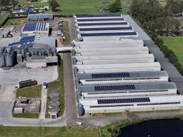 Captured at Pirovic Family Farms, Llandilo NSW Australia.